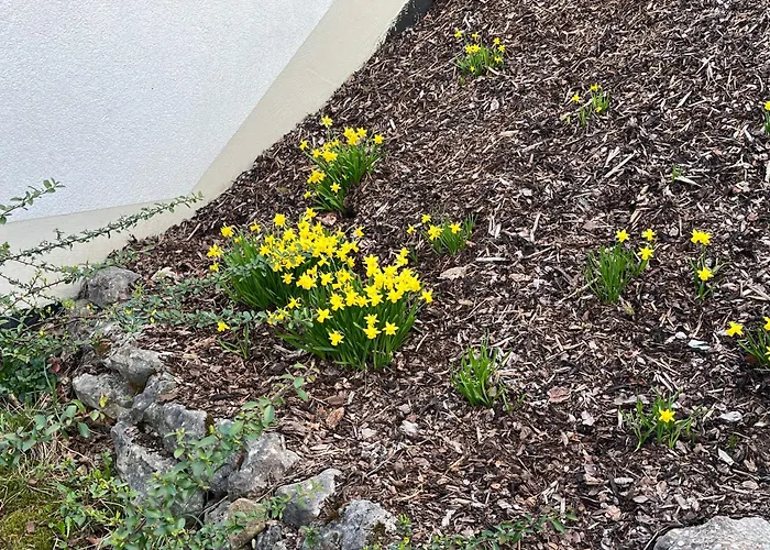 Sonnengarten